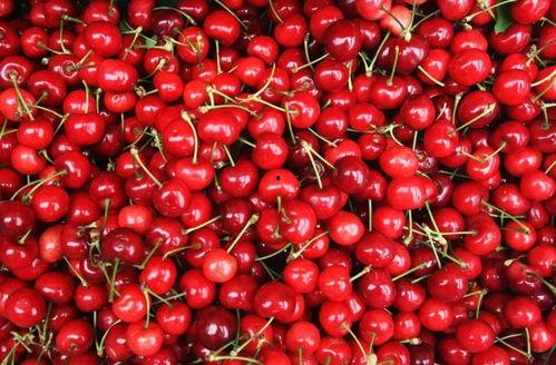 无码樱桃在线,揭秘网络直播界的神秘魅力