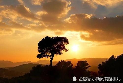 日上天空国产视频资源