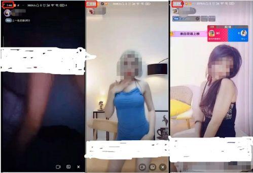 成人爱爱视频,情感与欲望的交织