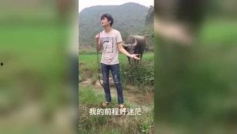 国产青草福利视频在线,探寻自然之美与生态和谐